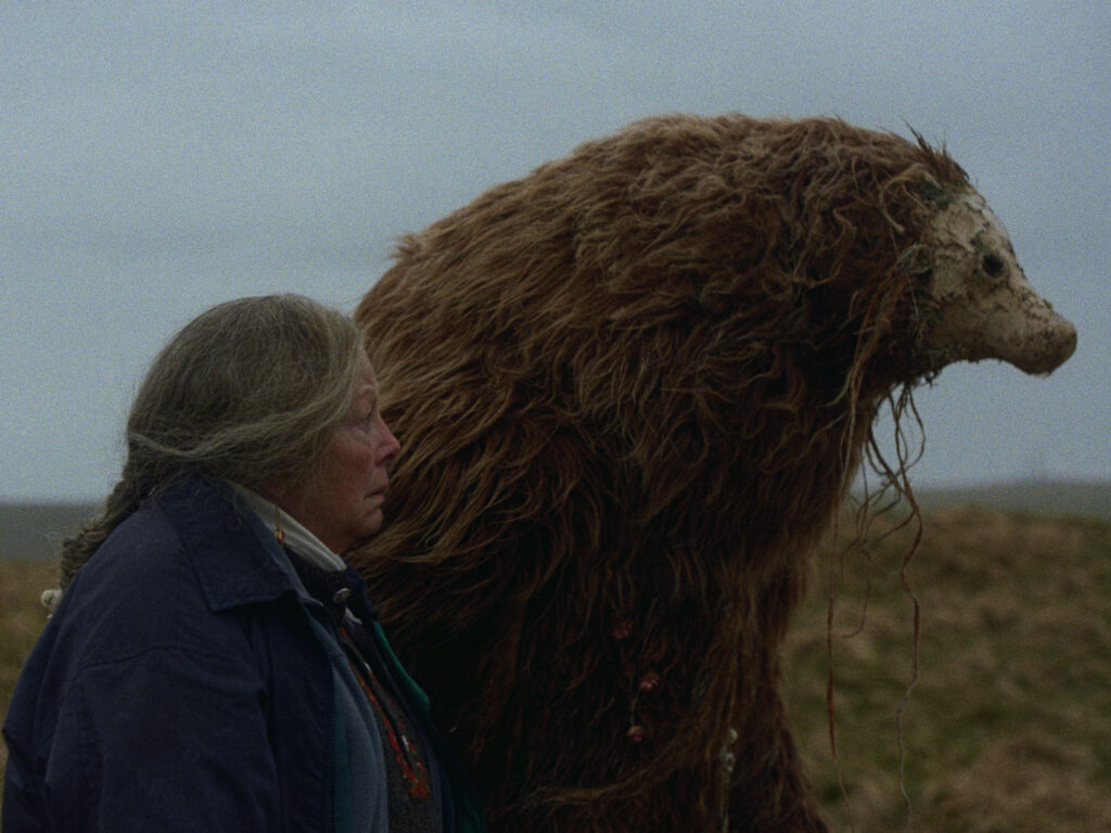 A BEAR REMEMBERS